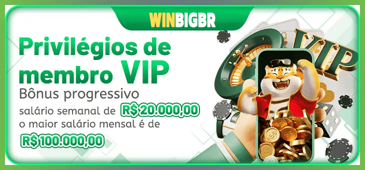 WINBIGBR cadastro — tela de formulário no app oficial
